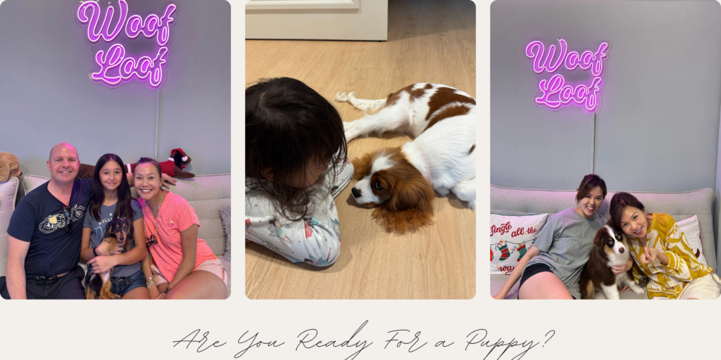Happy families with puppies in Singapore learning about responsible puppy ownership