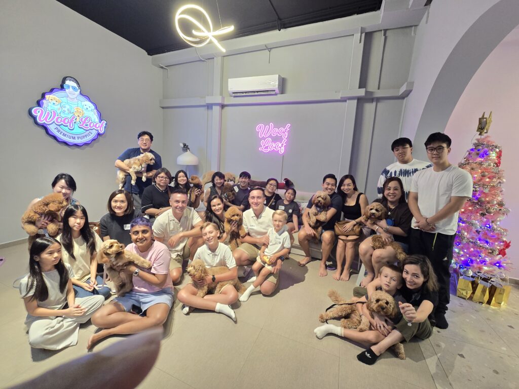 Woof Loof hosting an Australian ethical puppy breeder meet-up event in Singapore with families and Cavapoo puppies | reviews